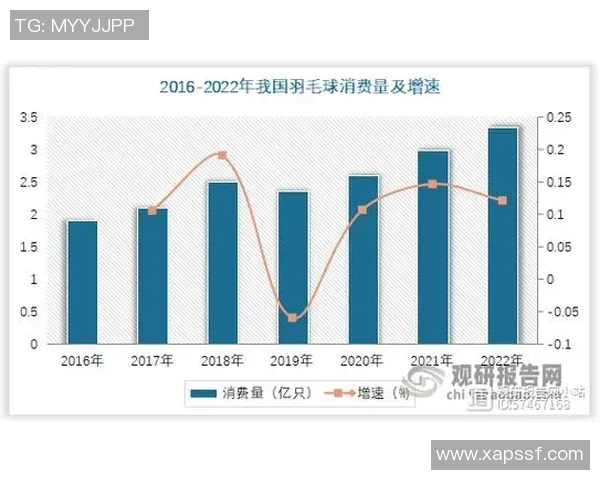 西安羽毛球队状态分析与未来展望聚焦羽毛球运动发展 西安羽毛球队状态分析与未来展望聚焦羽毛球运动发展